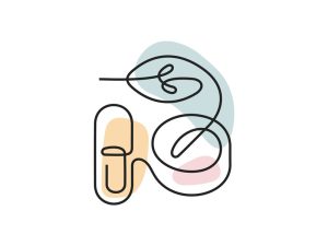 A colored continuous line illustration of a capsule and a natural leaf depicting a dietary supplement.