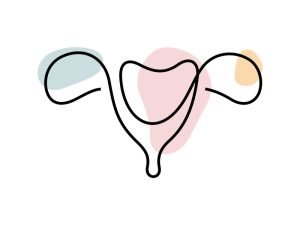 A colored continuous line illustration of a female uterus showing both ovaries, the cervix and the vagina.