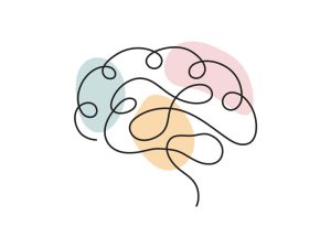 A colored continuous line illustration of the human brain showing the lobes, cerebellum and spinal cord.